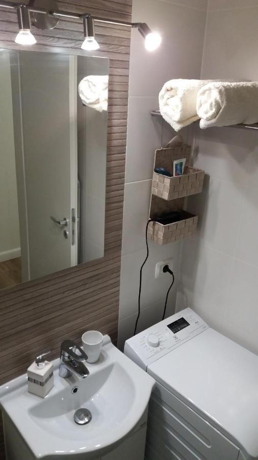 Single Apartment Timisoara